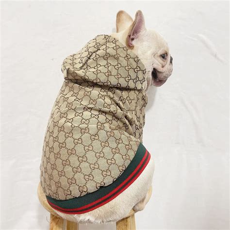 gucci pet kopen|gucci pet clothes.